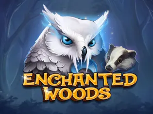 Enchanted Woods screenshot